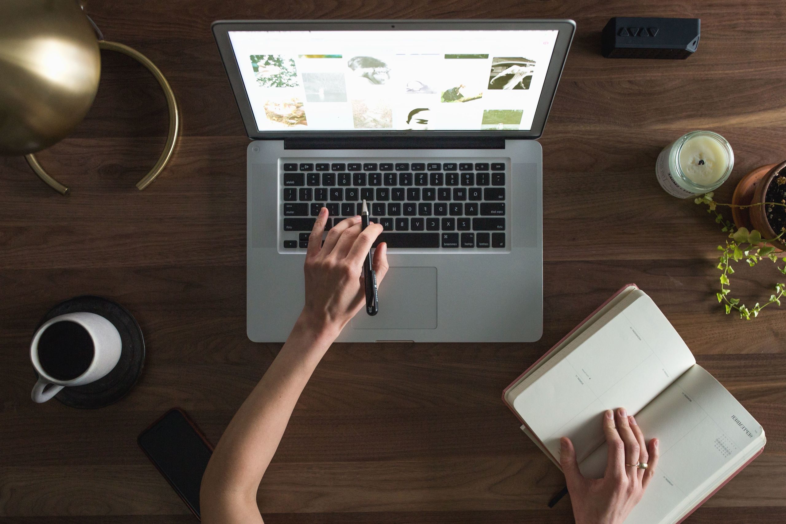 Person studying and researching online resources on a laptop